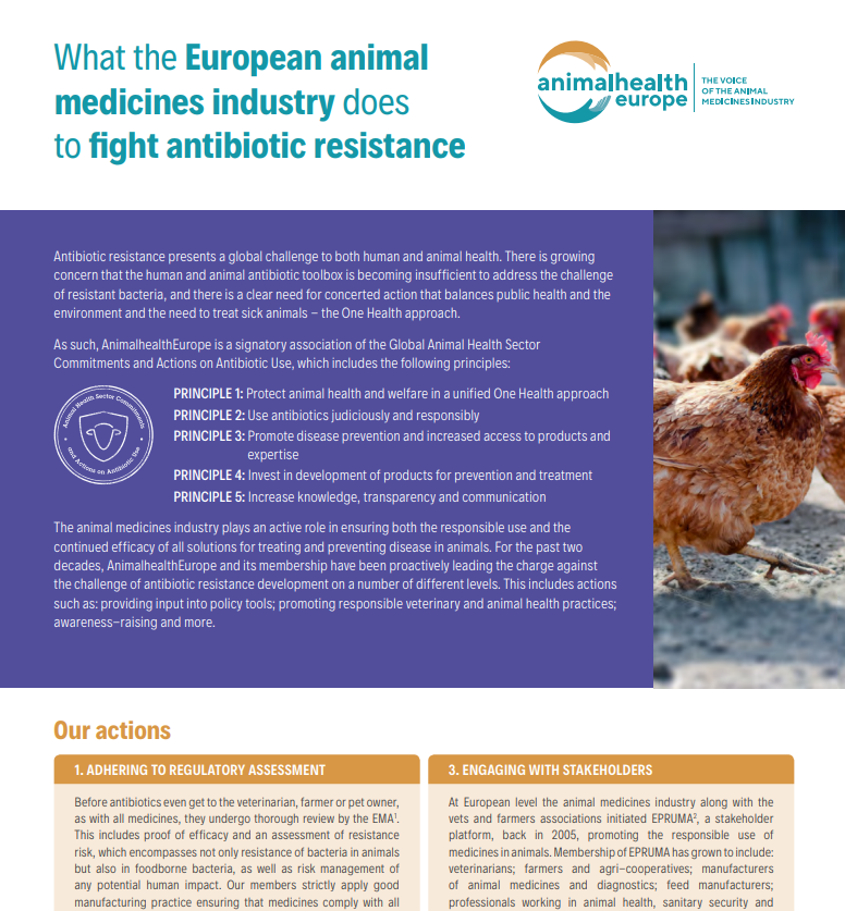 What the European animal medicines industry does to fight antibiotic resistance